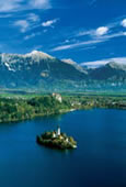 bled zima