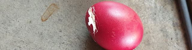 merrylandsVelikoNocniPonedeljek_2019